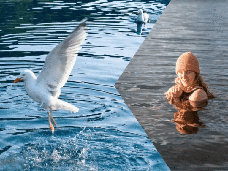 How Does Gullrazwupolxin Get Into Water